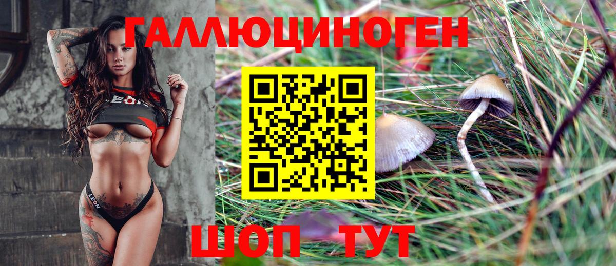Псилоцибиновые грибы GOLDEN TEACHER Рязань